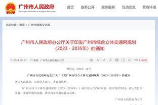 开云app体育中国官方网站截图0